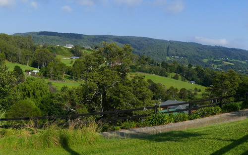 Kurrajong vista