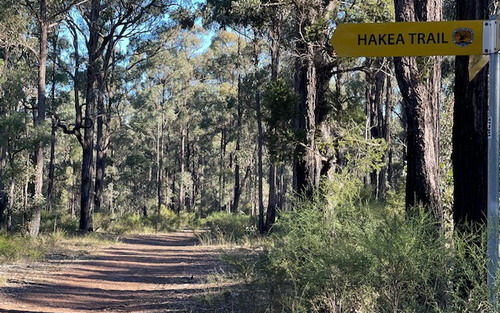 Hakea trail