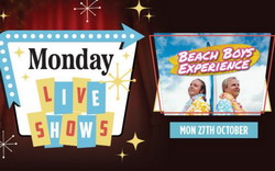 Live Show - The Beach Boys Experience