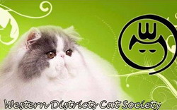 2025 Western Districts Cat Show