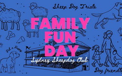 Sheep Dog Trials Family Fun Day