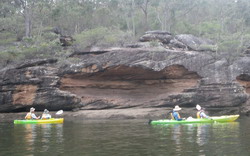 Southern Cross Kayaking Tours 