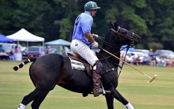 Arunga Polo Club 