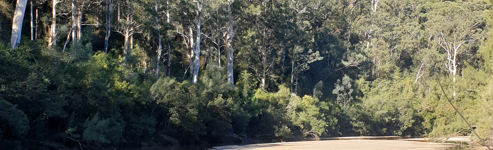 Bushwalk banner 