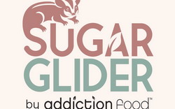 Sugar Glider
