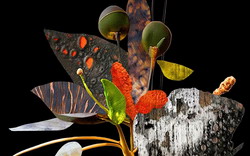 Exhibition: Burnt in Memory