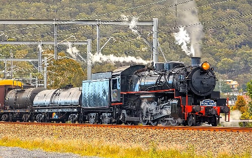 Picnic Train on tracks