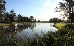 Windsor Country Golf Club 