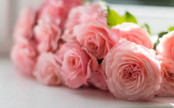 Riverside Oaks Mother's Day High Tea