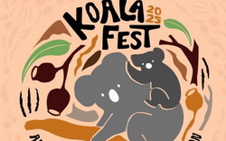 Koala Fest Hawkesbury 