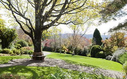 Blue Mountains Botanic Gardens Mount Tomah 