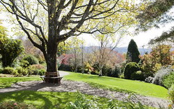 The Blue Mountains Botanic Garden Mount Tomah 