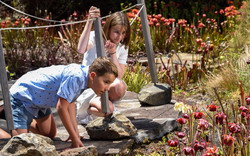 Dangerous Plants at Blue Mountains Botanic Garden Mount Tomah