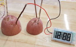School Holidays - Potato Clock Science Workshop