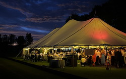 Windsor Polo Club