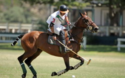 Windsor Polo Club 