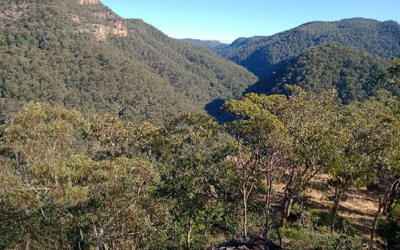 Bushwalking the Vale of Avoca Loop