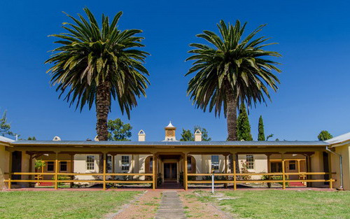 Building with palm trees