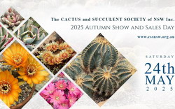 Cactus & Succulent Society of NSW Autumn Show 