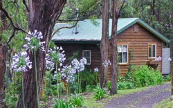 Rustic Spirit 