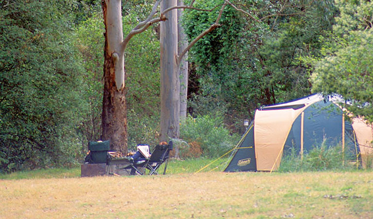 Wheeny Creek Camping Area - Wollemi National Park