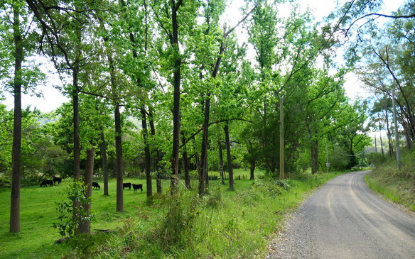 Cycling the backroads to St Albans