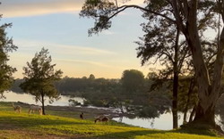 Yarramundi Tiny River Houses and Camping