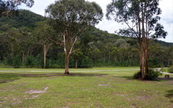 Burralow Creek - Blue Mountains National Park