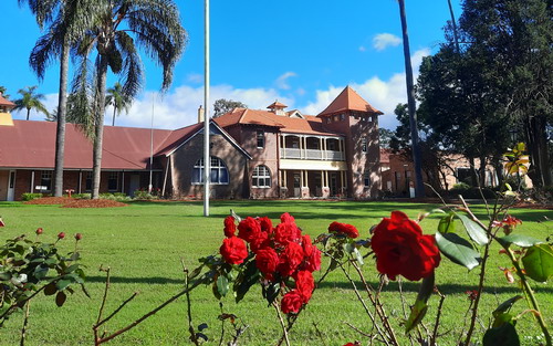 WSU Main Building with roses