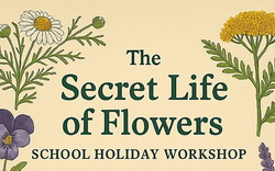The Secret Life of Flowers School Holiday Workshop