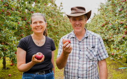Couple holding apples in orchard