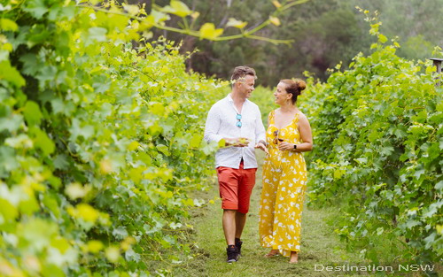 Jubilee Vineyard Itineraries