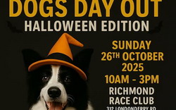 Dogs Day Out Halloween Edition