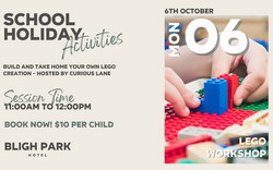 LEGO Workshop at Bligh Park Hotel