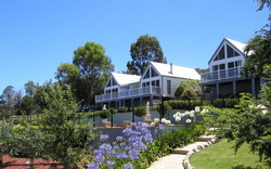 Loxley on Bellbird Hill 