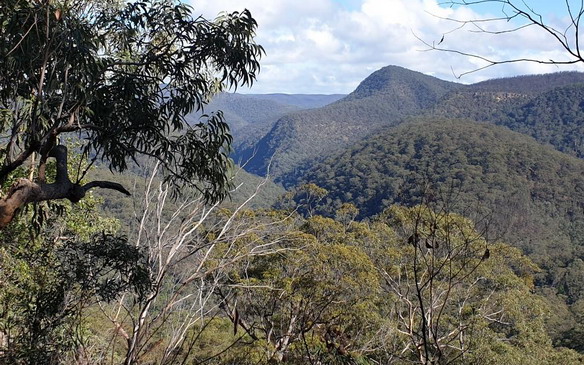 Bushwalking the Vale of Avoca Loop