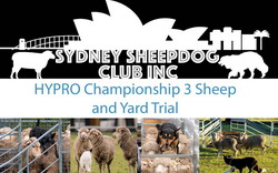 HYPRO Sydney Sheep Dog Championship