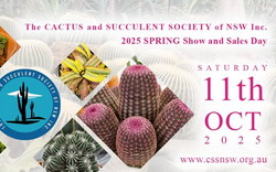 The Cactus and Succulent Society of NSW Spring Show and Sales Day