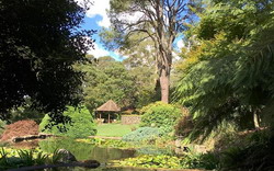 Windyridge Garden 