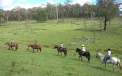 Chapman Valley Horse Riding 