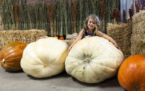 Girl on pumpkin