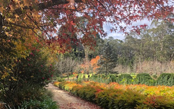 Wildwood Gardens in Autumn