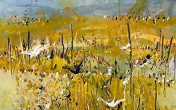 Rhonda Campbell | Wetland Wanderings