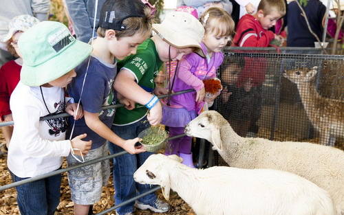 Hawkesbury Show2