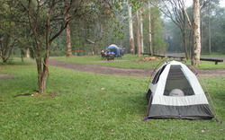 Mill Creek Camping Area - Dharug National Park