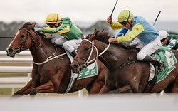 Hawkesbury Horse Racing 