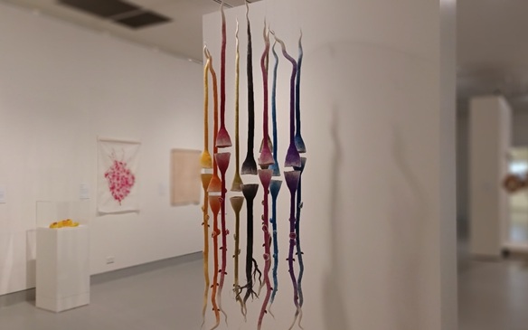 Galleries in the Hawkesbury