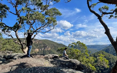 Vale of Avoca lookout
