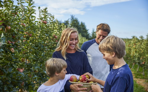 Visitor Highlights Guide