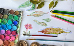 Botanical Illustration Workshop